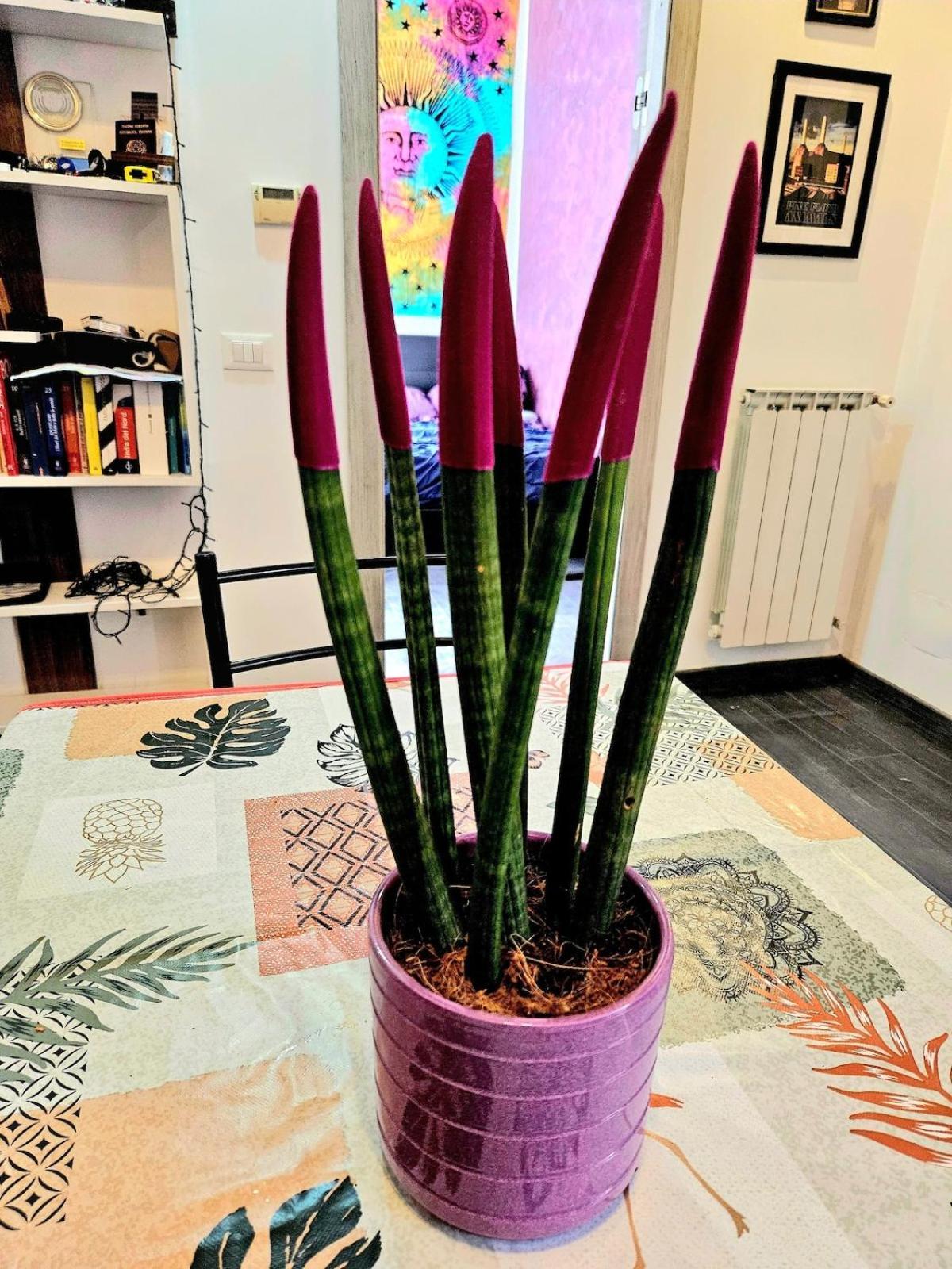 Apartamento Renz & Friends